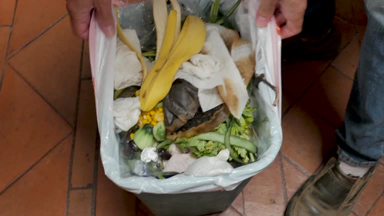 Reliable Mount Carmel, TN Junk Removal Services Solutions
